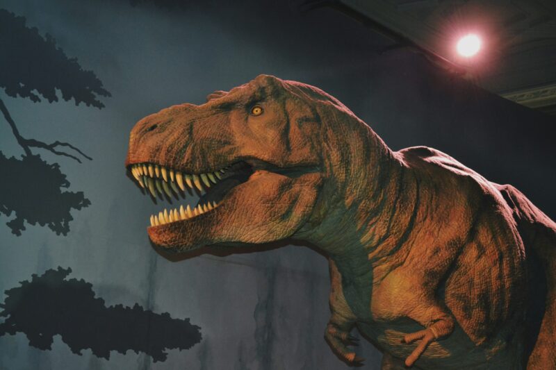 Tyrannosaurus rex: Big animal with sharp, yellowish teeth, and tiny arms with 2 fingers in each claw.