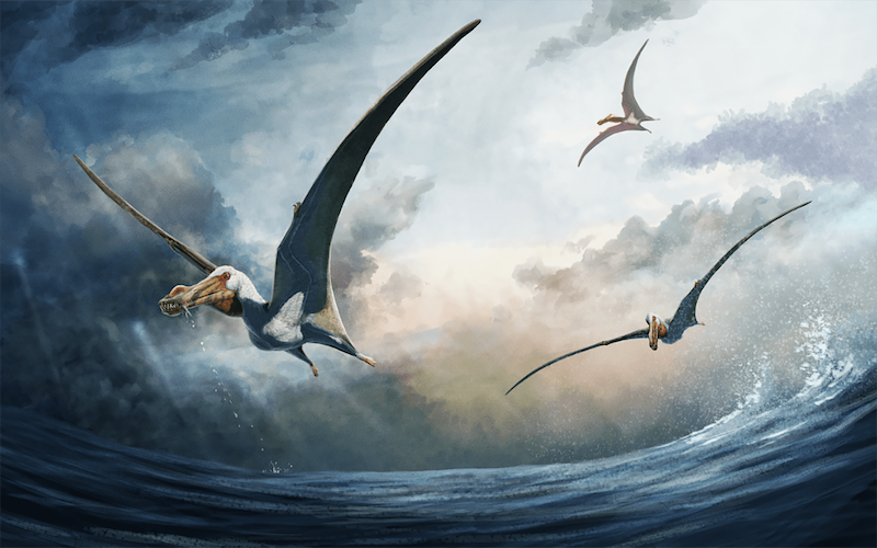 Three large flying creatures with long, thin, pointed wings and long beak-like jaws, in the air above an ocean.