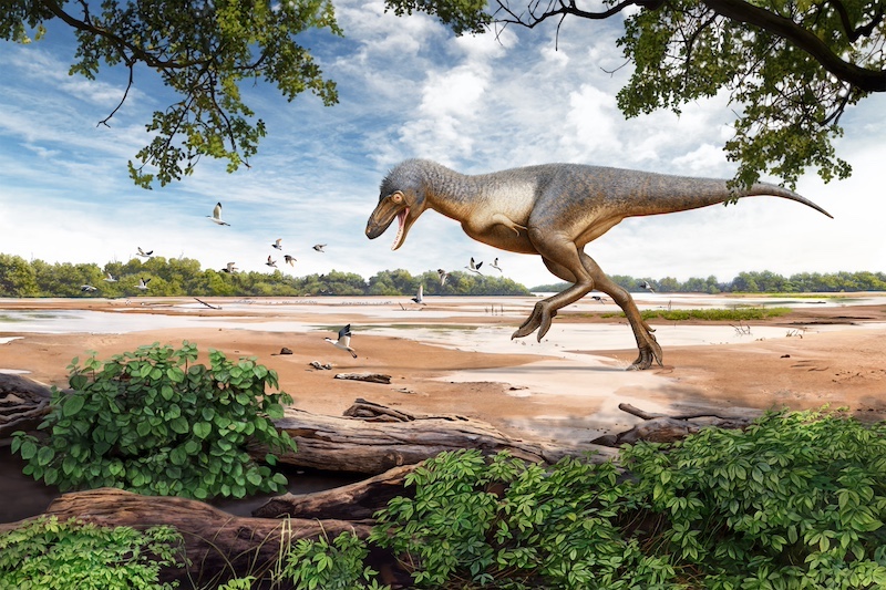 A dinosaur, T. rex, with a long tail running on two legs as it chases a bird.