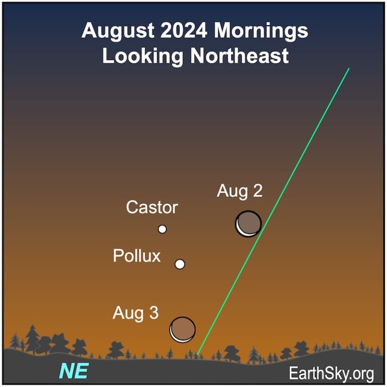 Visible planets and night sky guide for August