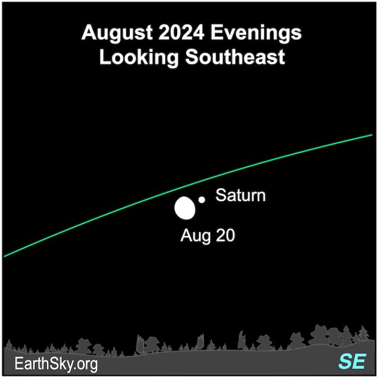 Visible planets and night sky guide for August