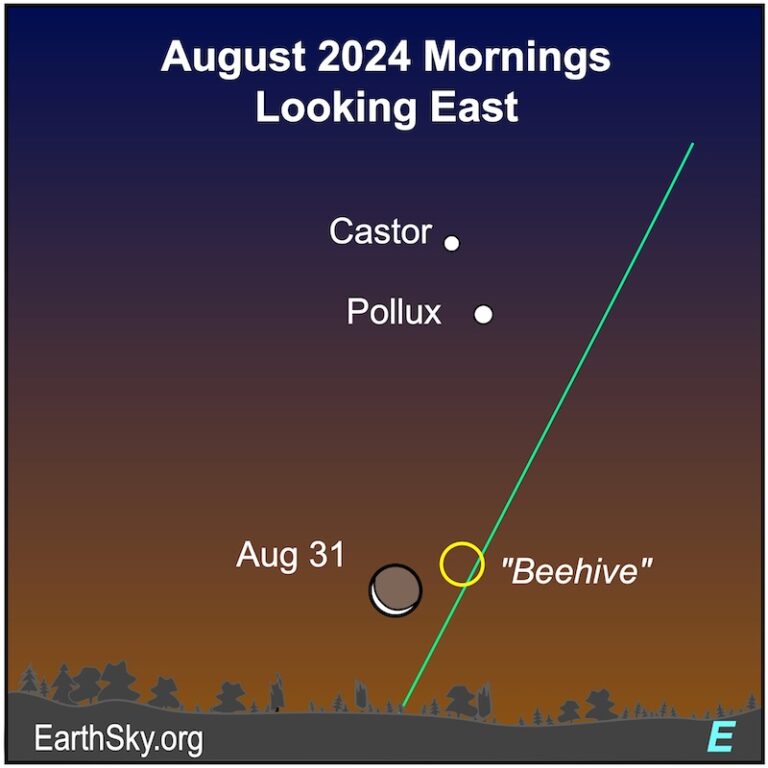 Visible planets and night sky guide for August and September