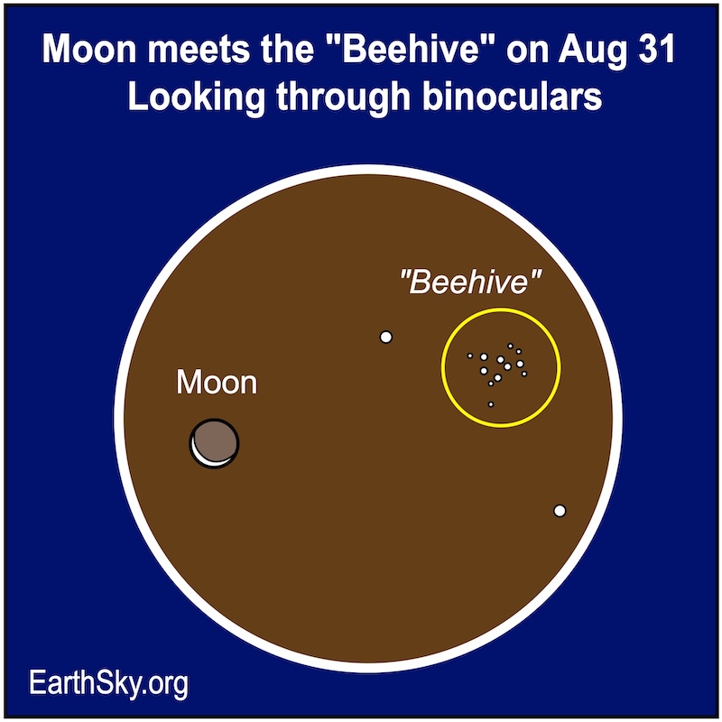 Star chart inside a circle showing a crescent moon and dots with yellow circle around labeled Beehive.