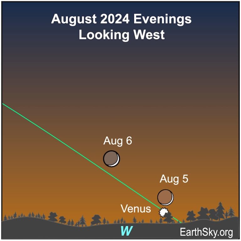 Visible planets and night sky guide for August