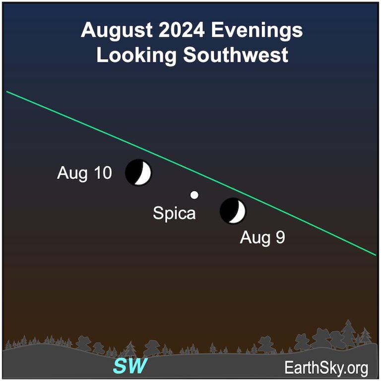 Visible planets and night sky guide for August