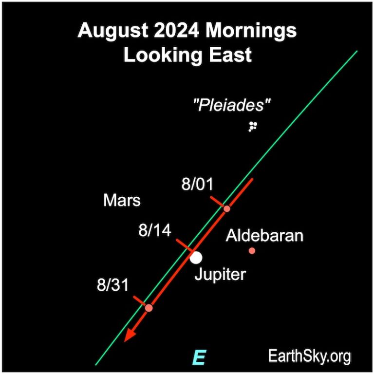 Visible planets and night sky guide for August
