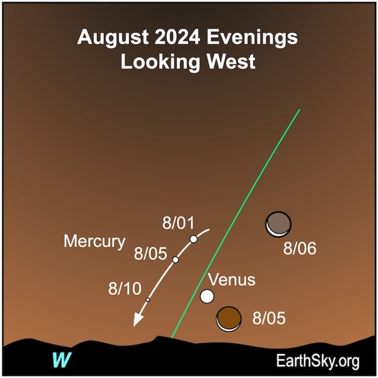 Visible planets and night sky guide for August