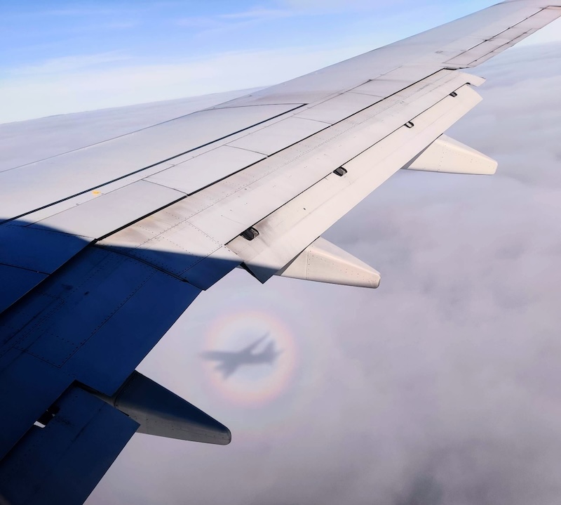 View of airplane wing over clouds. Beneath it, a small shadow of the plane with a circular rainbow around it.