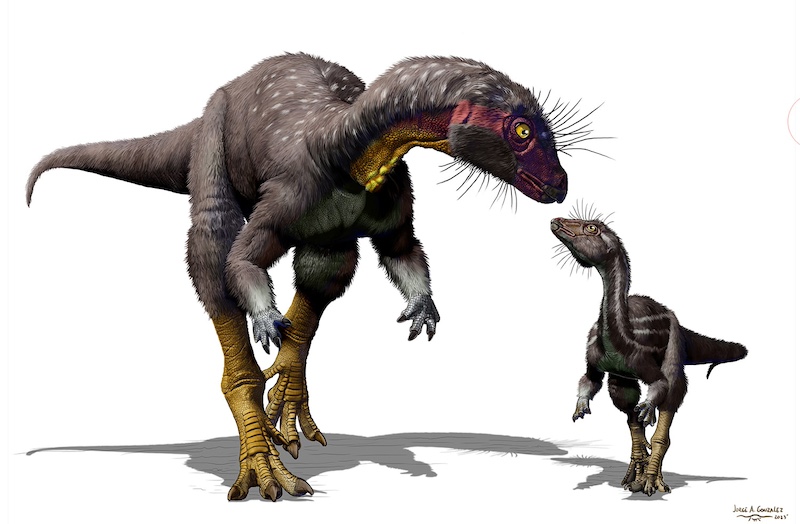 A dark brown bipedal dinosaur with whiskers nose to nose with a similar juvenile dinosaur.