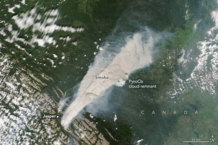 Jasper fire: Satellite image with huge, thick white plume of smoke billowing across a forested landscape.