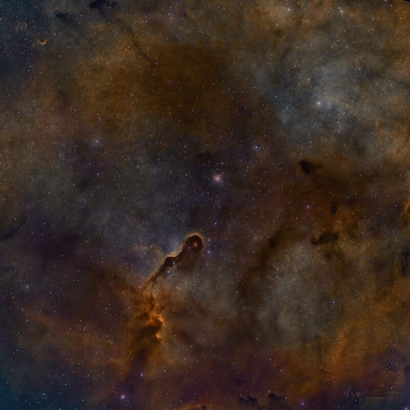 Large area of orange and blue nebulosity with dark lanes, over a background of faint stars.