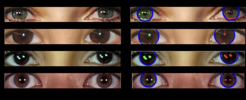 8 pairs of eyes, each pair with matching highlights on the pupils.