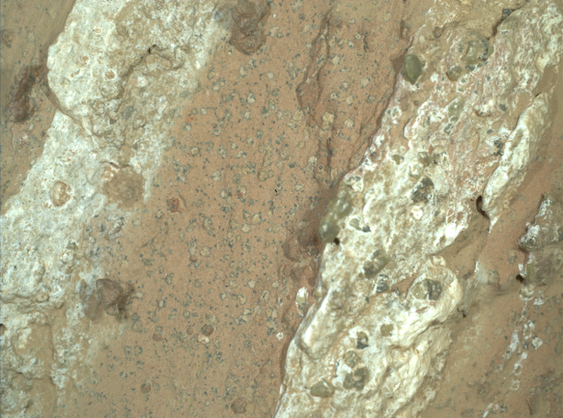 Life on Mars: Brownish rock with 2 parallel bands of white rock and small irregular spots with dark edges between them.