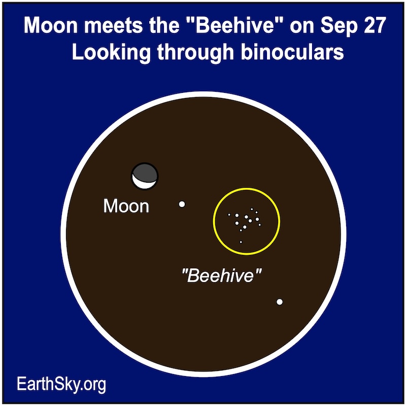 Moon and the Beehive star cluster on September 27 as viewed through binoculars.