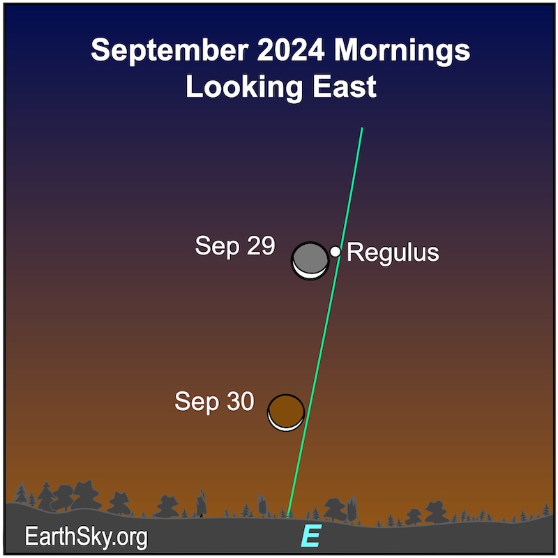 Moon on September 29 and 30 near the star Regulus.