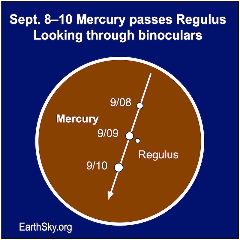 Mercury and Regulus on September 8–10.