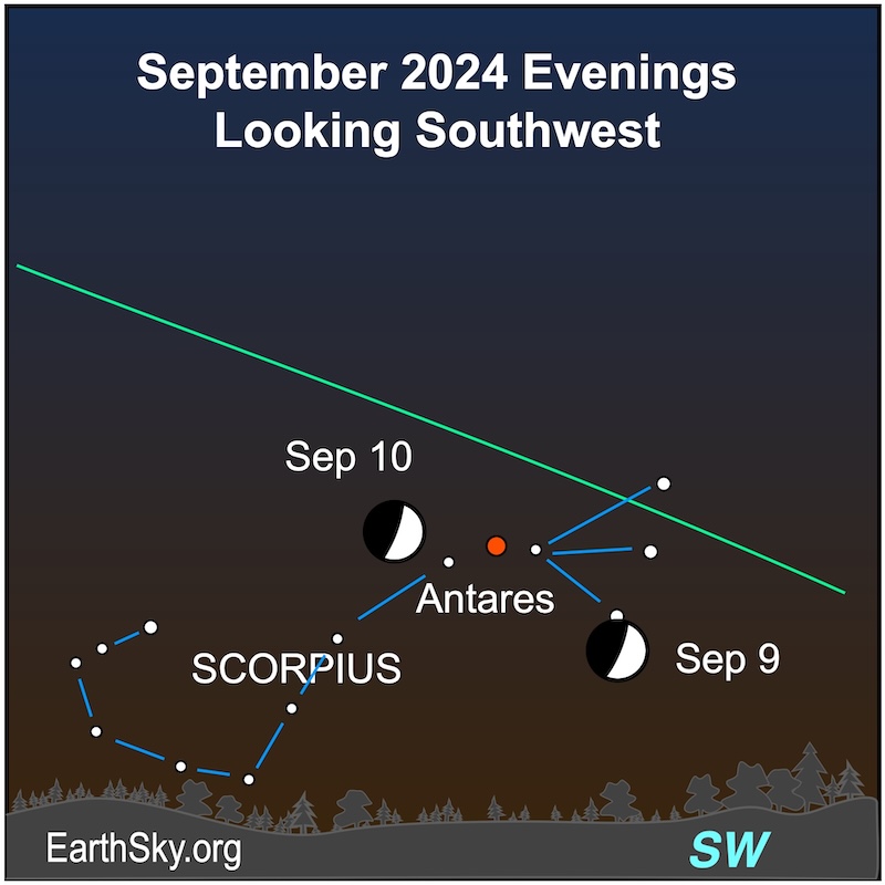 Moon on September 9 and 10 near Antares and Scorpius.