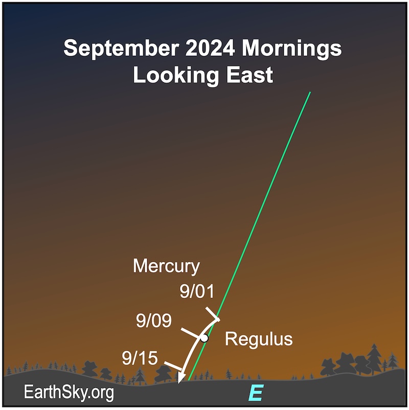 Mercury in September as a white dot with arrow showing its path and Regulus nearby.