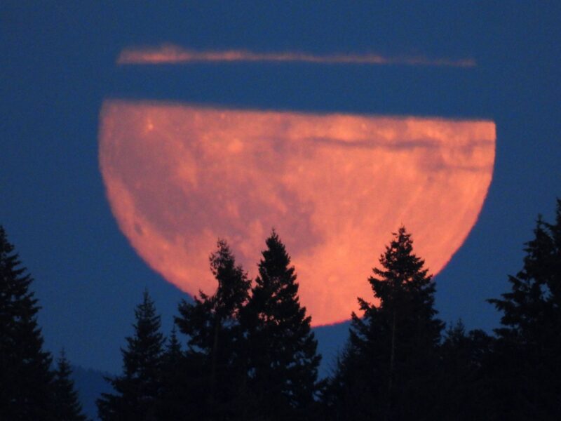 Bottom half of an orange moon. The top is covered by clouds. Some trees in the foreground.