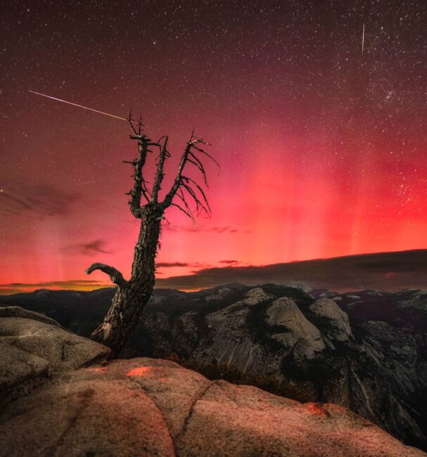 Bright red sky with a leaf-free tree in the foreground, over some rocks. There are 3 streaks corssing the sky.