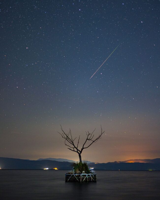 Blue sky with many stars and a long streak in the middle. There is a tree without leaves at the bottom.