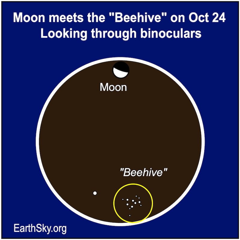 Moon on October 14 through binoculars with some stars of the Beehive star cluster.