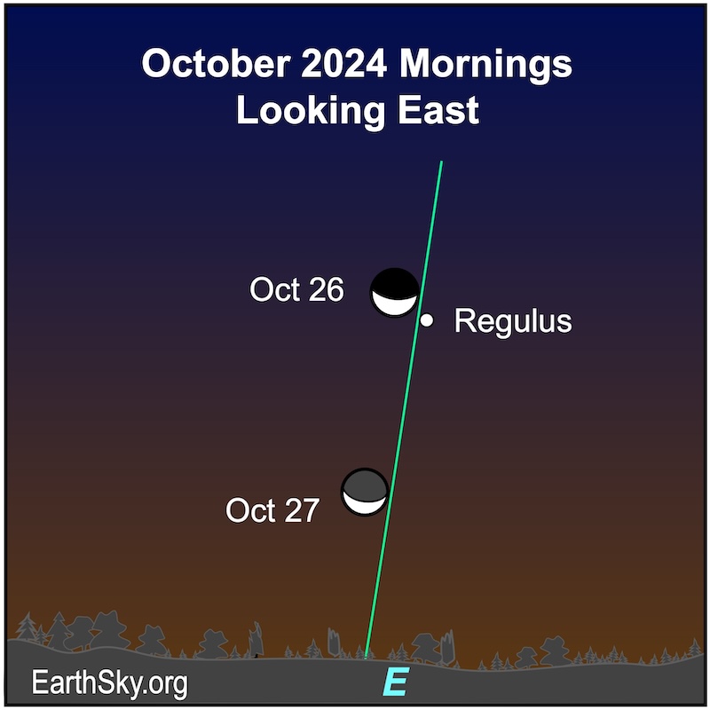 Moon on October 26 and 27 near Regulus.