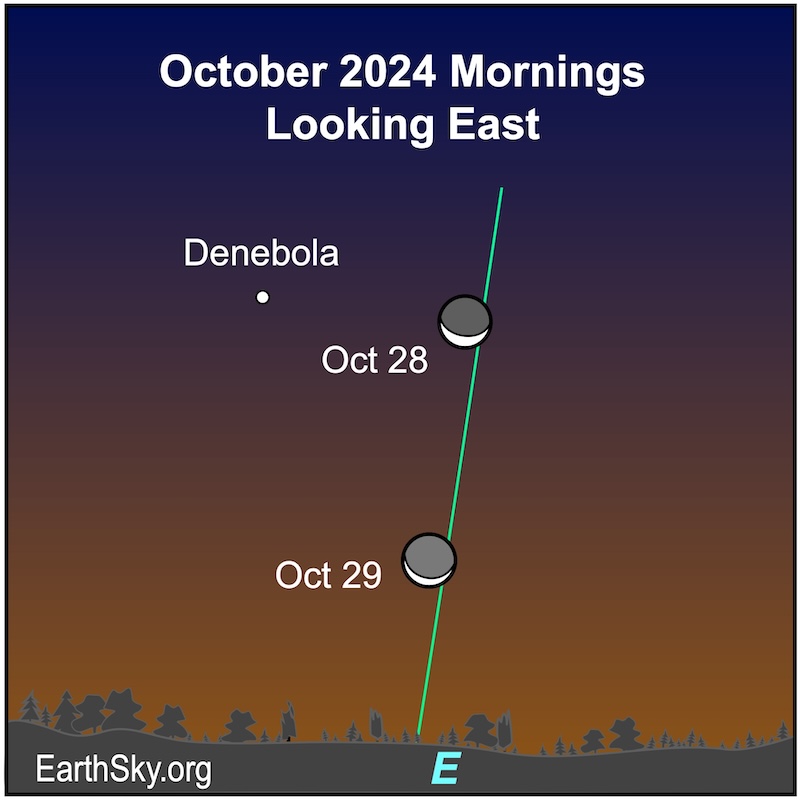 Moon on October 28 and 29 near the star Denebola.