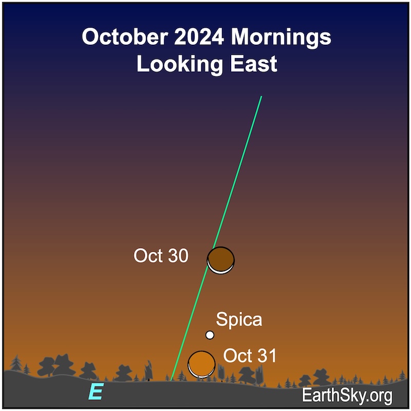 Moon on October 30 and 31 near the star Spica .