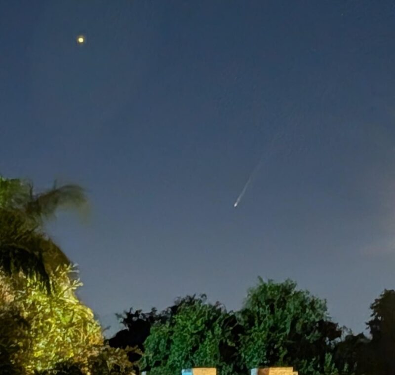 Palm trees and a darkish sky with a comet near the middle.