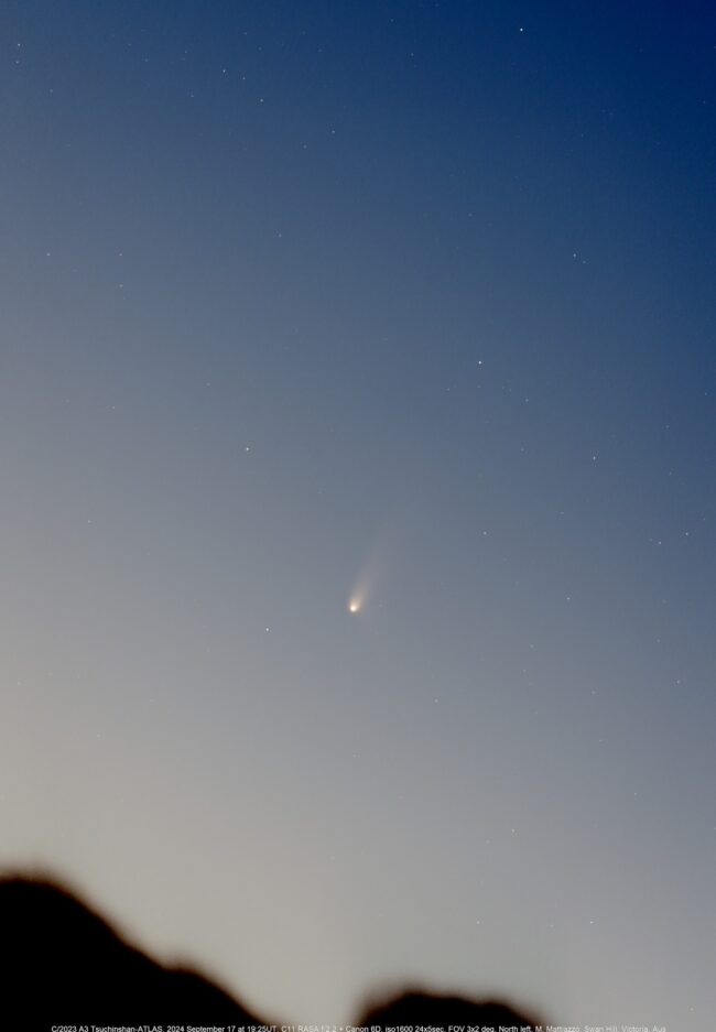 A comet - a white dot with a tail - in dusky blue sky above foreground trees.