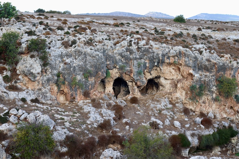 A sparsely vegetated cliff with limestone caves. 