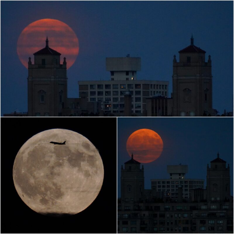 Trio of moons, two orangish near builldings and one white with a plane in front.