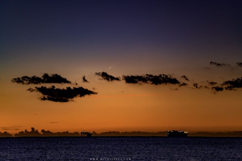 A white comet appearing in an orangish sunrise sky.