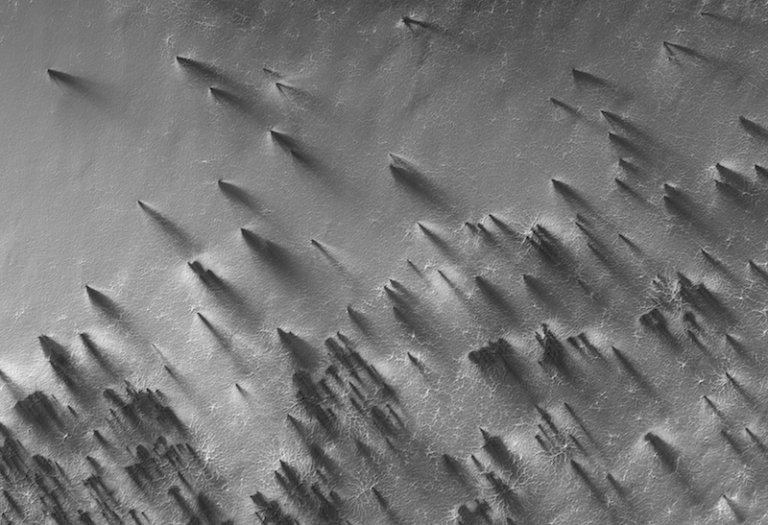 Mars/cap Why are Mars’ polar caps different from each other?