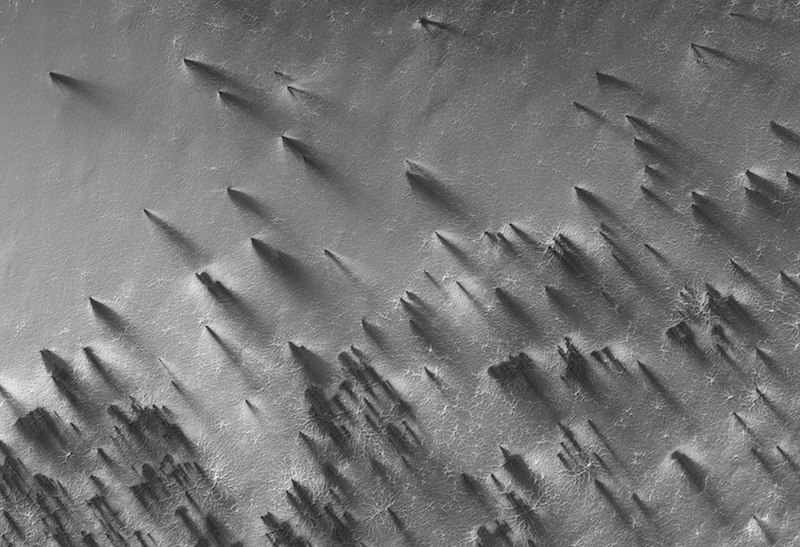 Black and white image of very many long dark fan-like shapes on lighter terrain.