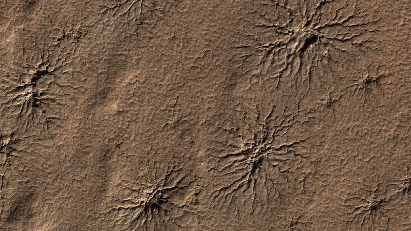 Martian 'spiders': Several spider-like shapes of cracks in reddish terrain. Each shape has many cracks radiating outward.