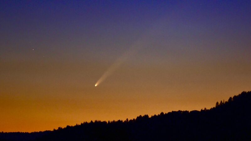 Sunrise colors with treed horizon and a white comet with long tail.