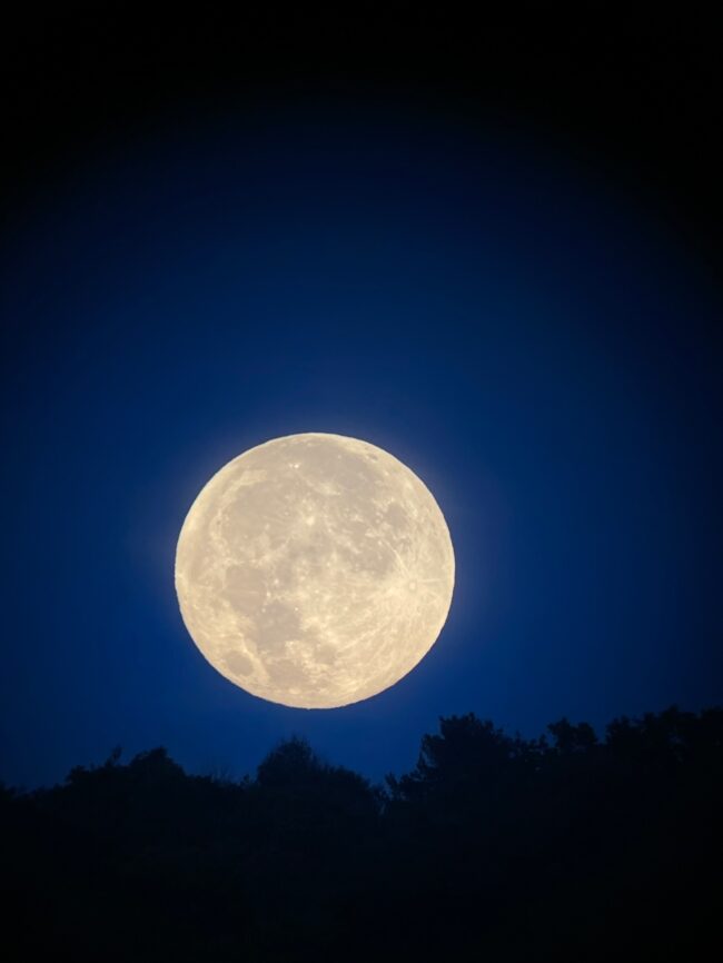 A dark foreground with a bright full moon just above.