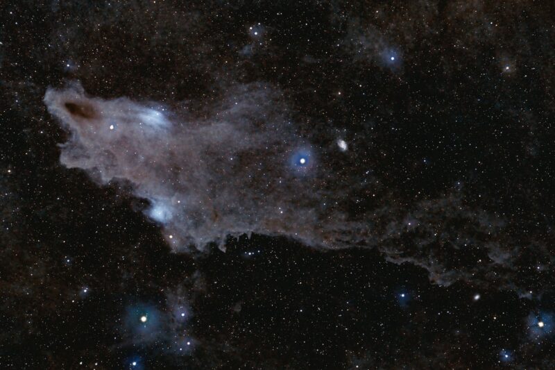 Deep-sky photos: Large gray, elongated, irregular nebula in light with thousands of foreground stars, some very bright.