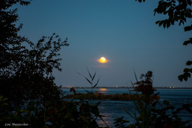 A full moon obscured by some clouds with trees in the foreground.