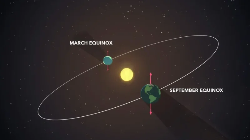 Drawing of a yellow sun in space, with an oval shape around it (an orbital path). Two titled Earths are located opposite each other on the orbital path.