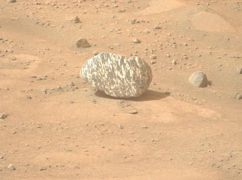 Ovalish rock with alternating black and white stripes, sitting on reddish pebbly terrain.