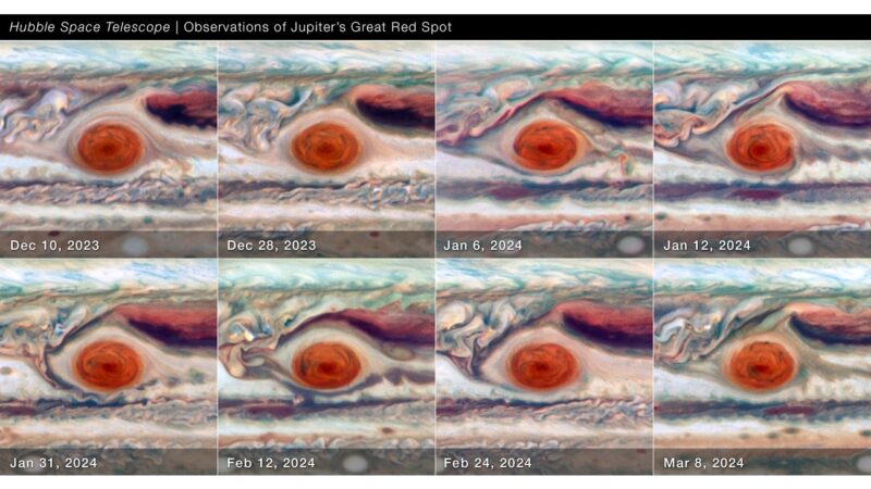 8 images showing the Great Red Spot with slight differences.