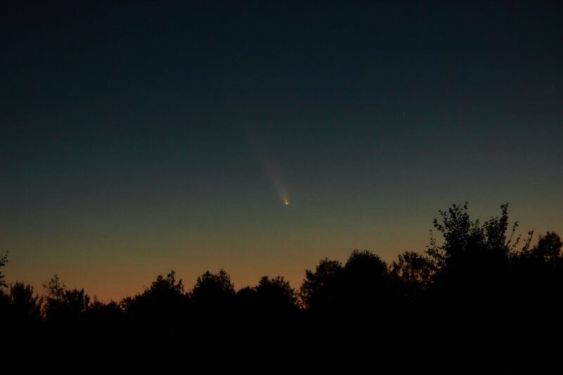 Twilight sky with a comet above the trees.