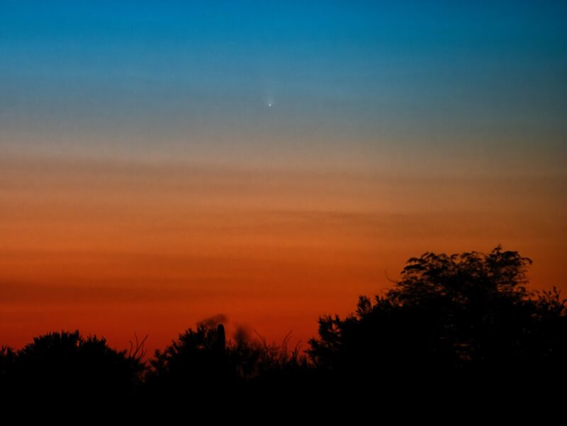 Colorful sunset with a faint comet above trees.