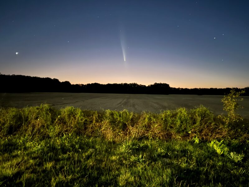 A field at sunset with the comet behind.