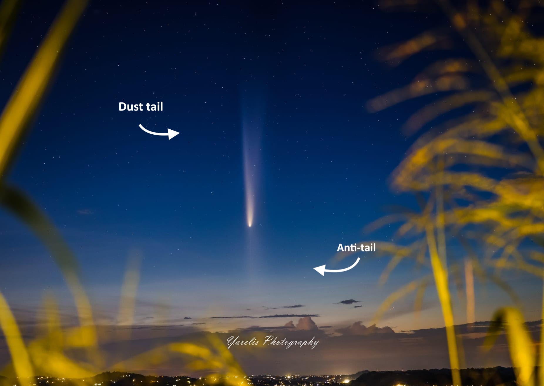 https://earthsky.org/upl/2024/10/Comet-A3-anti-tail-Utuado-Puerto-Rico-by-Yarelis-Medina-annotated.jpg?utm_source=chatgpt.com