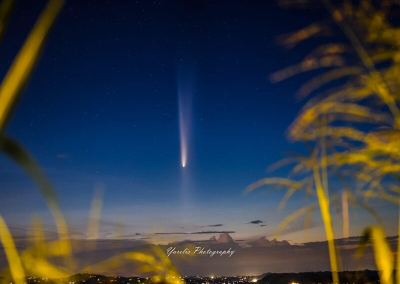 Comet, with big tail pointing upward, away from the sunset horizon, and a faint tail pointing downwards to the horizon.