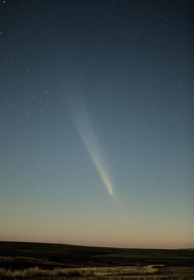 Comet with long tails in opposite directions in evening twilight among faint stars.